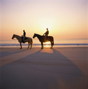 Trot on horseback along the shore with a Kelly Seahorse Ranch ride.
